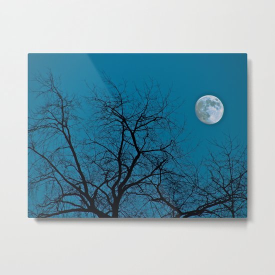 Once in a Blue Moon Metal Print