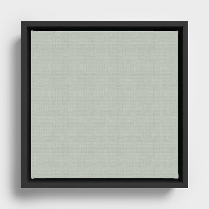 Framed Canvas