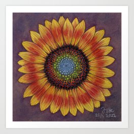 sunflower  3 Art Print
