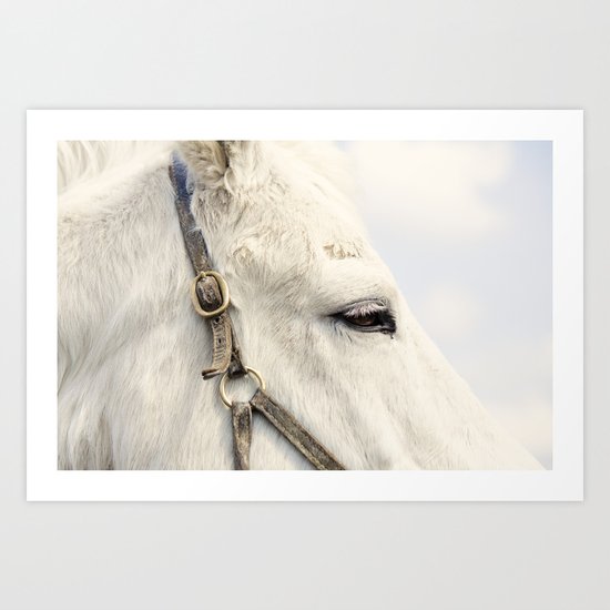 Betsy Art Print