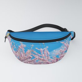 vividly looking up Fanny Pack