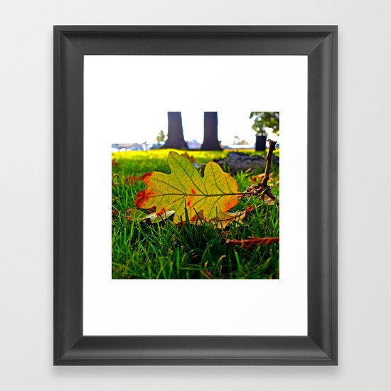 Early Autumn leaf Framed Art Print