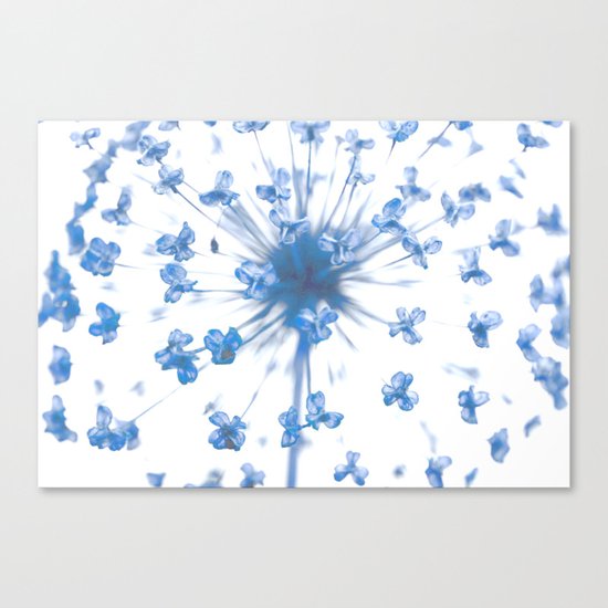 Flower Ball in Baby Blue Canvas Print