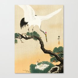 Crane and its chicks on a pine tree  - Vintage Japanese Woodblock Print Art Canvas Print