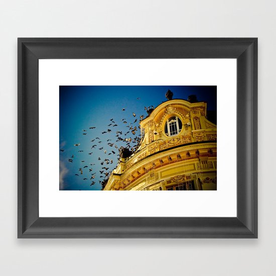 Birds on a Building, Sibiu, Romania Framed Art Print