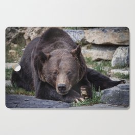 Big brown bear relaxing in the sun - nature - animal - photography Cutting Board