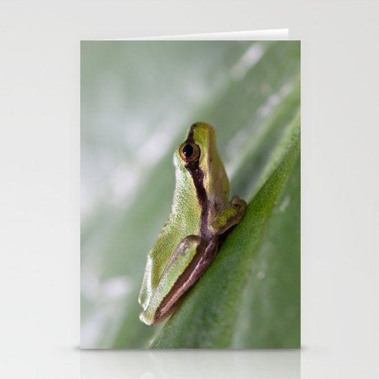 Mediterranean Tree Frog 1095 Stationery Cards