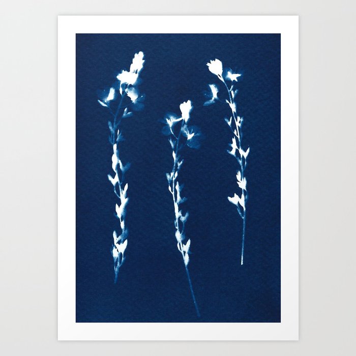 Wildflowers Art Print