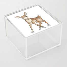 Baby Deer / Fawn Acrylic Box