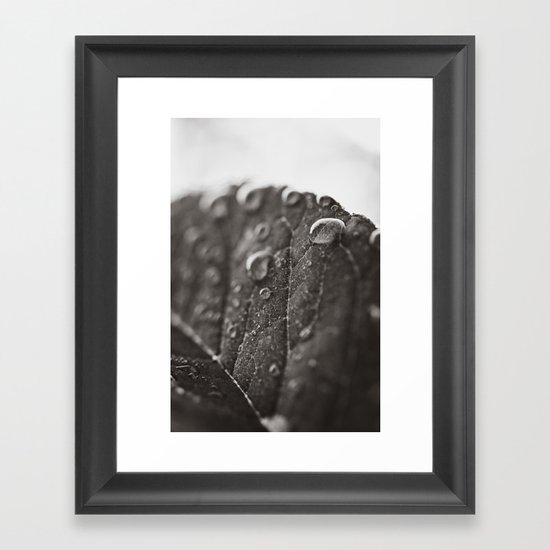 Droplets Framed Art Print
