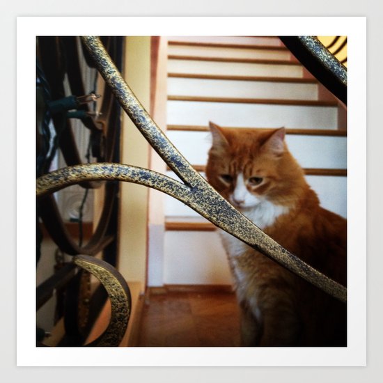 kitty: deep in thought Art Print