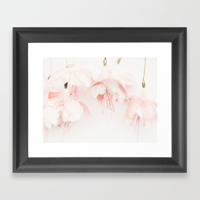 Flower photography - Fuchsia - Pink Pastel floral print Framed Art Print