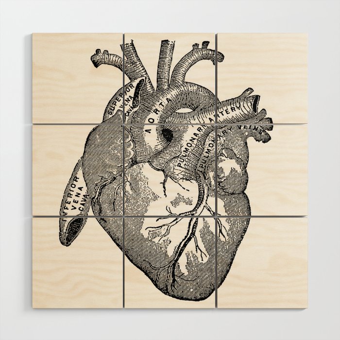 Vintage Anatomy Heart Wood Wall Art