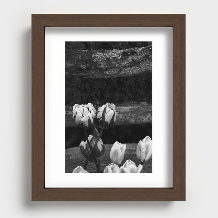 Tulip Festival 2022: Roozengaarde "Gemini Bloom" Recessed Framed Print