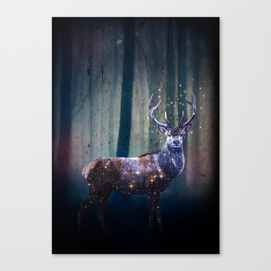 Deep In The Woods Canvas Print