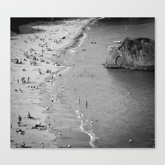 like Antz Canvas Print