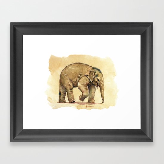 Baby elephant A081 Framed Art Print