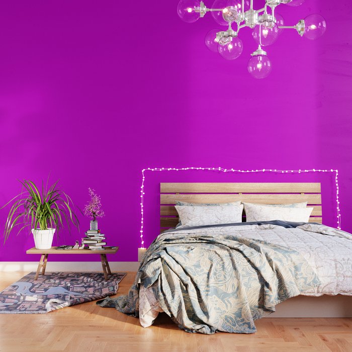 Magenta Solid Color Popular Hues Patternless Shades of Magenta Collection Hex #d600d6 Wallpaper
