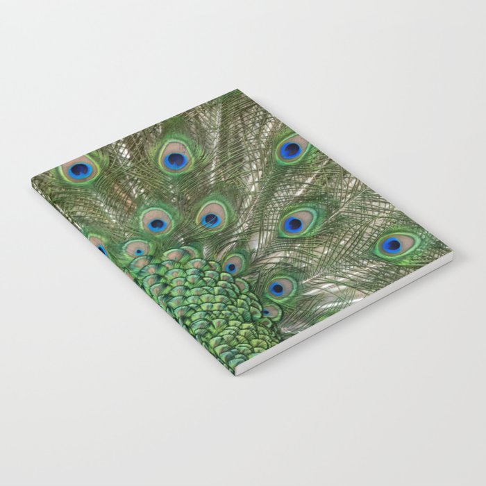 Peacock Spreads Its Feathers Notebook