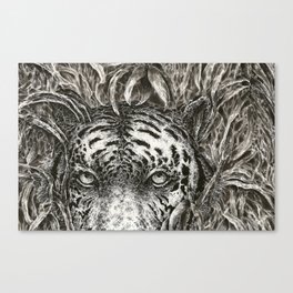 Bengal in Bamboo Canvas Print