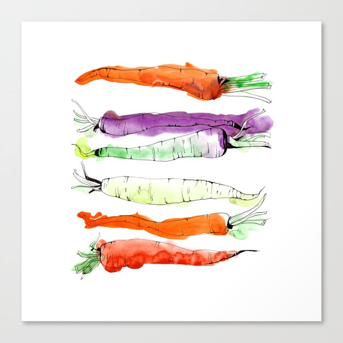 Rainbow Gardens: Carrots Canvas Print