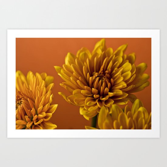 Orange Soda Art Print