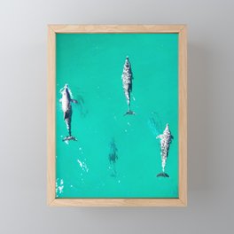 Pod Of Dolphins Framed Mini Art Print