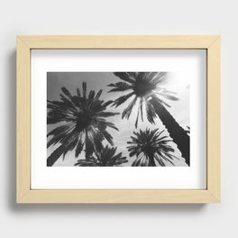 Black and White Miami Palm Trees Recessed Framed Print