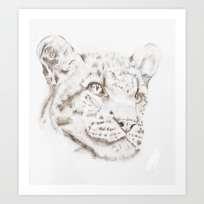 Tiger sketch, realistic drawing, pencil, black and white, animals, nature,  art Art Print by Kopytkowa | Society6