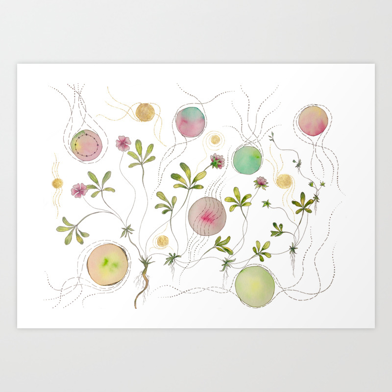 Botanical Flowers Plants Drawing Watercolor Art Art Print By Sukilopi Society6