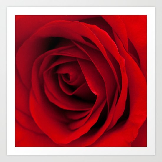 Heart of a rose Art Print
