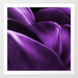 Ultraviolet Flower Petals #decor #society6 #buyart Art Print