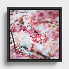 Cherry Blossom, Sakura Flower Framed Canvas