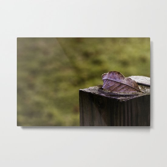 fall Metal Print