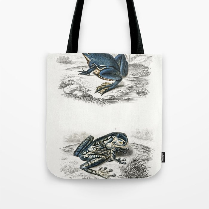 Shrinking Frog & Black-Spotted Casque-Headed Tree Frog Tote Bag