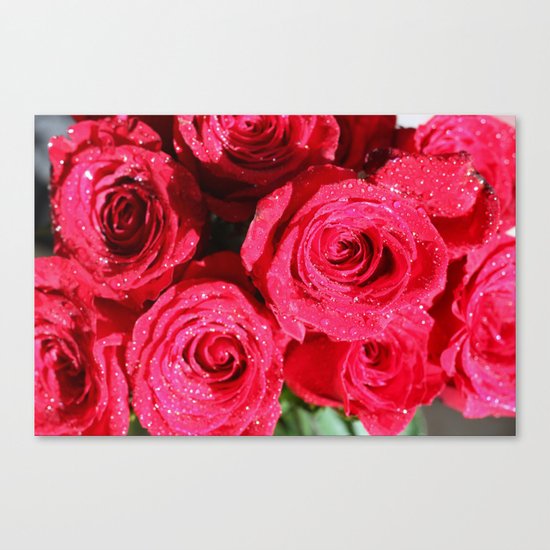 Red roses Canvas Print