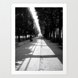 Jardin du Luxembourg; Paris, France Art Print