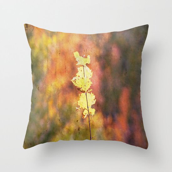 Seasonal Closeup - Autumn Throw Pillow