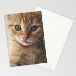 Kitten Stationery Card