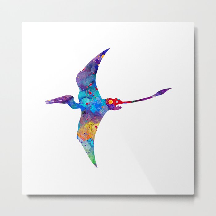 Pterodactyloidea Collection of Photo Prints and Gifts