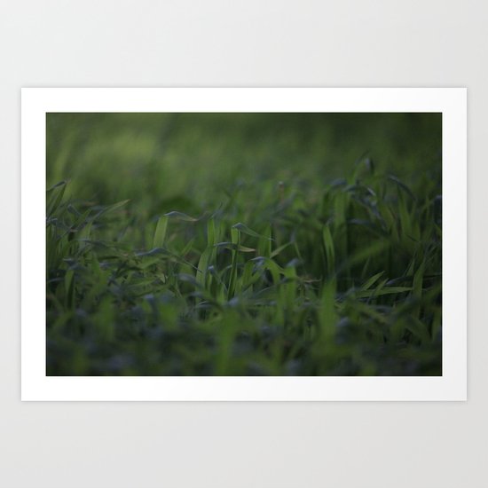 Peaceful Dreams Art Print