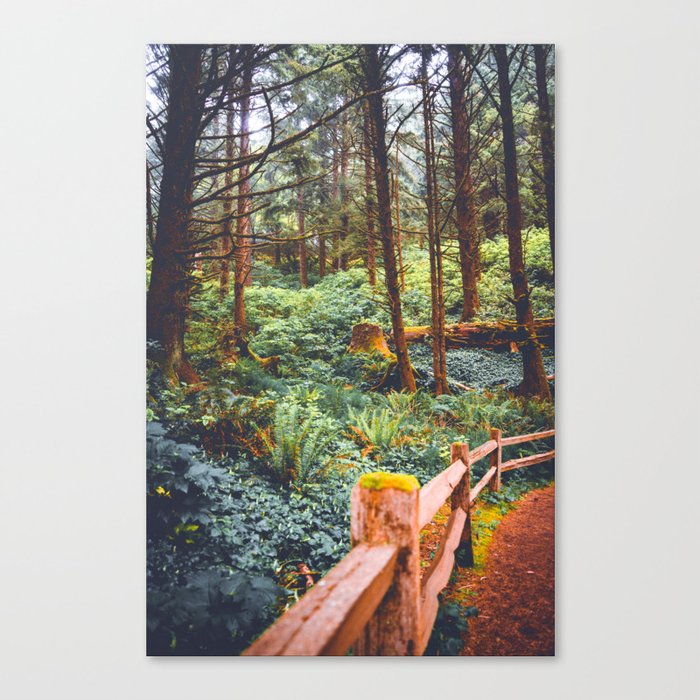 Oregon Forest | Landscape Photography | PNW Nature  Canvas Print