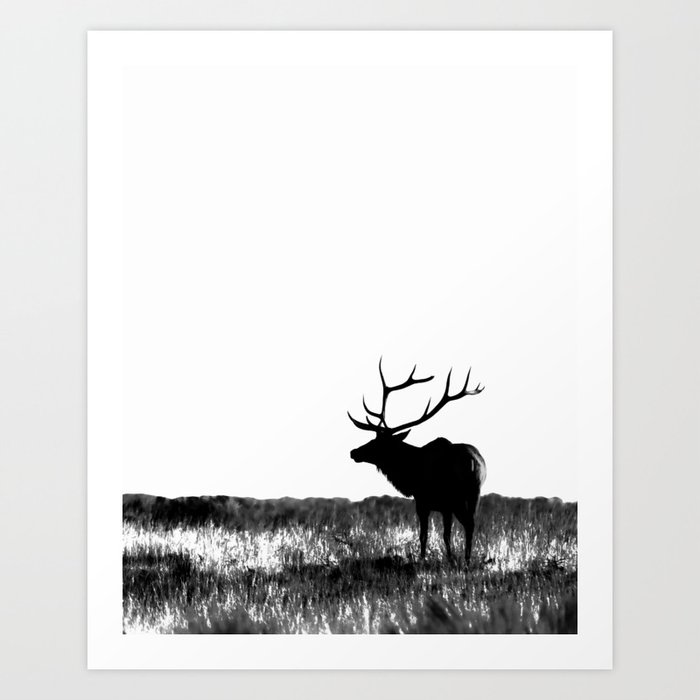 Elk Silhouette  Black and White  Art Print