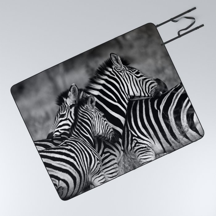 South Africa Photography - Two Zebras Hugging In Black And White Picnic Blanket