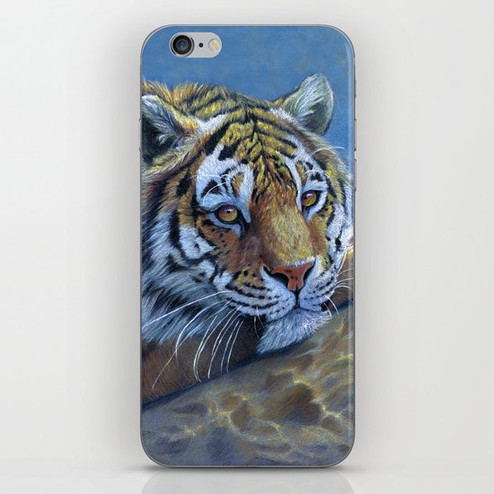 Tiger on the rock CC117 iPhone & iPod Skin