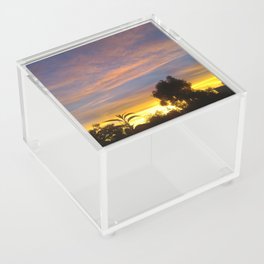 Mexico Photography - Trees Under The Beautiful Yellow Sunset Acrylic Box
