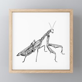 Praying Mantis Framed Mini Art Print