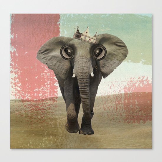 king baba Canvas Print