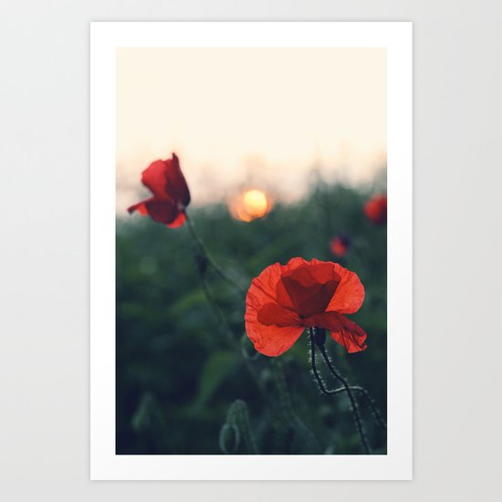 Poppy Art Print