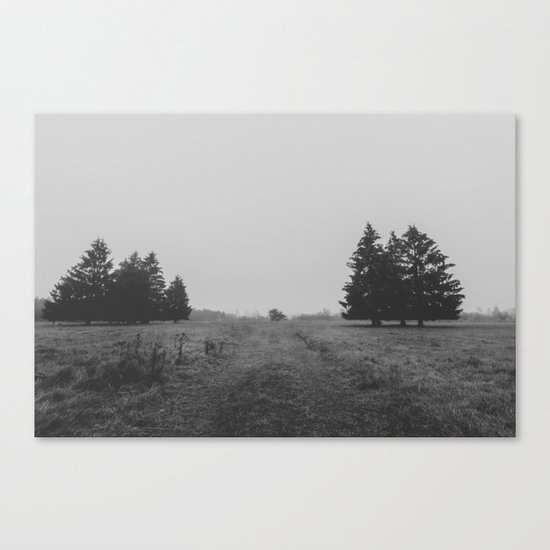 Siblings - black and white landscape photography Canvas Print